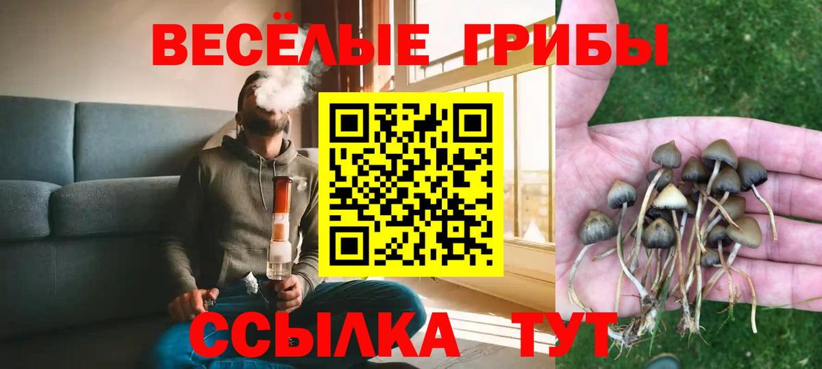 Псилоцибиновые грибы MAGIC MUSHROOMS  Галлюциногенные грибы мицелий  Троицк  Вход с VPN 